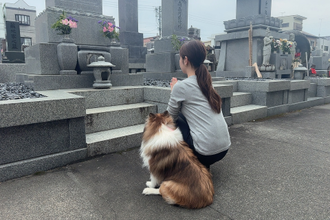 樹木葬「静岡 葵 庭苑」について