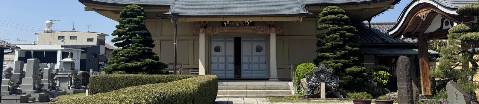 報土寺について